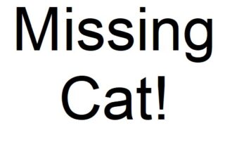 Missing Cat Poster