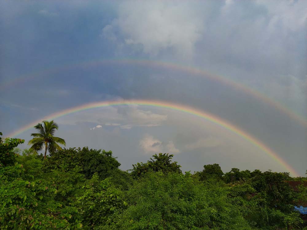 Rainbow